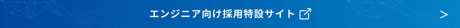 エンジニア向け採用特設サイト