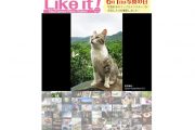 【お知らせ】写真の日に「Map Camera Photo Gallery」を公開！