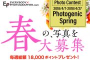春の写真を大募集！フォトコンテストPhotogenic Springを開催