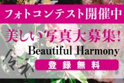 新年号”令和”にちなんだ美しい写真を募集する 「Beautiful Harmony」フォトコンテストを5月31日(金)まで開催中！