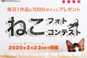 「ねこフォトコンテスト」を2月22日(土)まで開催中！