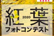 秋の写真作品を大募集　「紅葉フォトコンテスト」開催中！