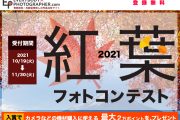 「紅葉フォトコンテスト」を開催中！