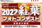 「2022 紅葉フォトコンテスト」 開催中！